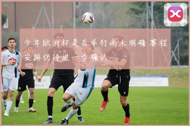 今年欧洲杯是否举行尚未明确 赛程安排仍待进一步确认