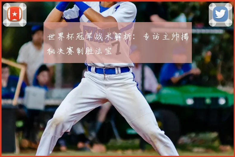 世界杯冠军战术解析：专访主帅揭秘决赛制胜法宝