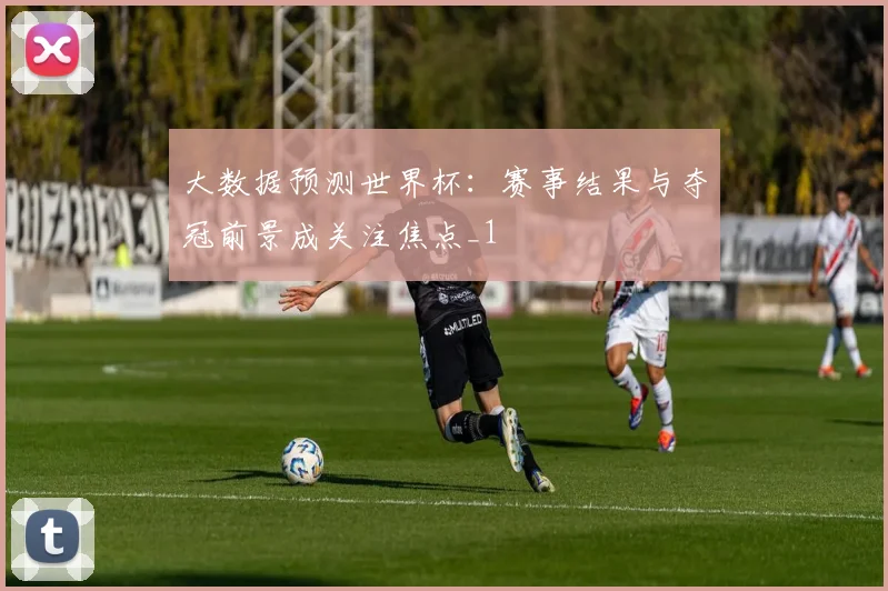 大数据预测世界杯:赛事结果与夺冠前景成关注焦点_1