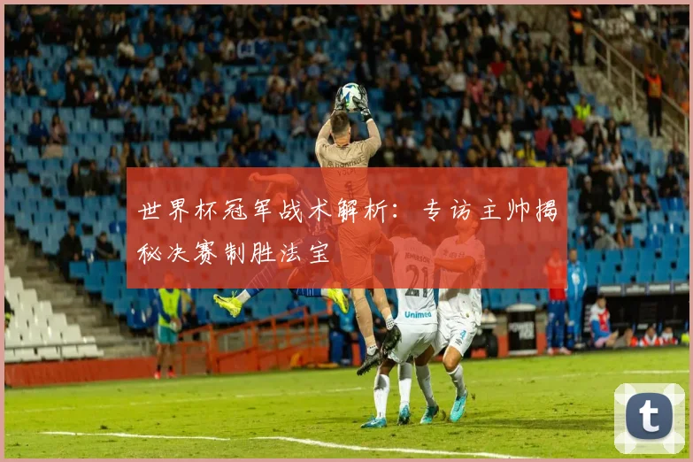 世界杯冠军战术解析：专访主帅揭秘决赛制胜法宝