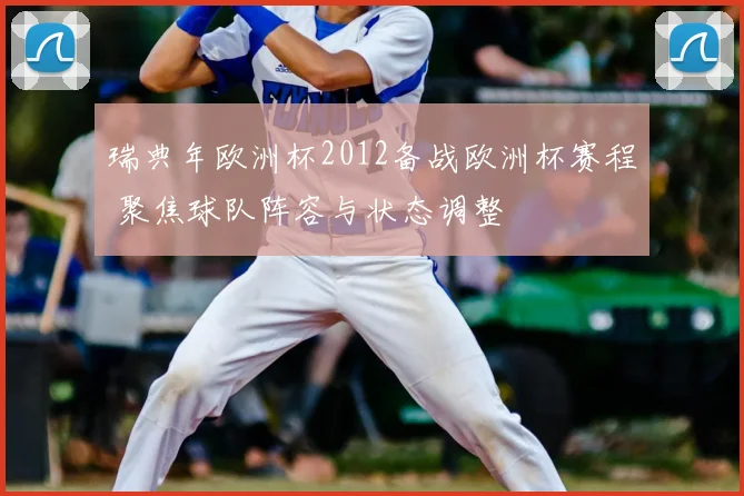 瑞典年欧洲杯2012备战欧洲杯赛程 聚焦球队阵容与状态调整