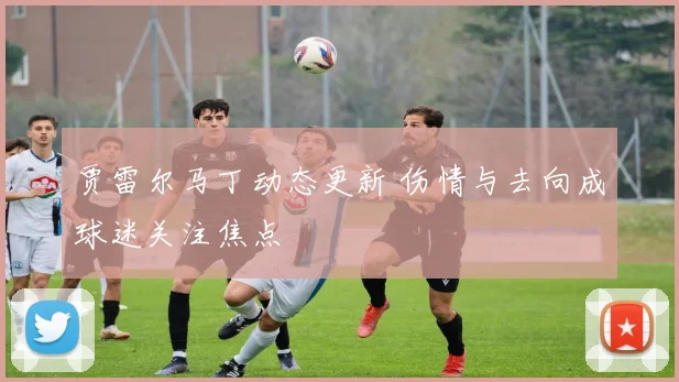 贾雷尔马丁动态更新 伤情与去向成球迷关注焦点